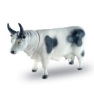 VACAS  DIVERSAS 0520