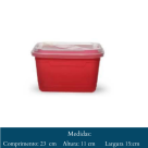 BALDE  21 LITROS   6685